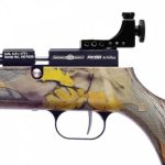 PX100 Precihole Sports Air Rifle - Image 5